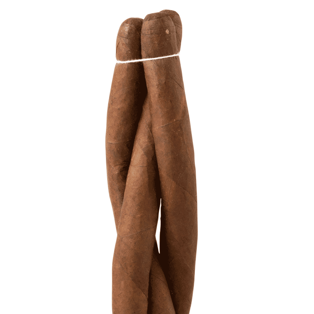 Tatuaje Monsters - Old Man & The C Monster